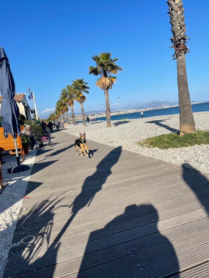 Villeneuve Loubet Plage- Entre Nice Et Cannes Exterior photo
