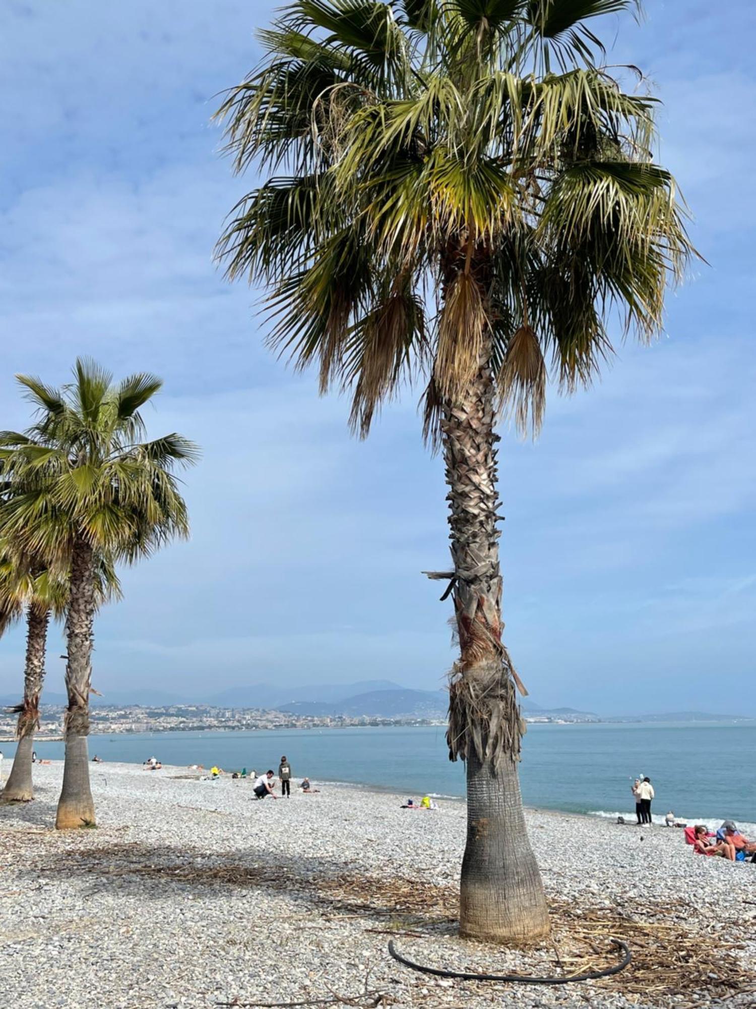 Villeneuve Loubet Plage- Entre Nice Et Cannes Exterior photo