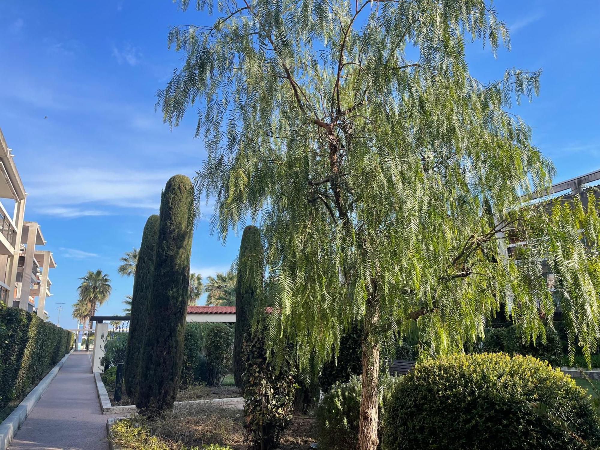 Villeneuve Loubet Plage- Entre Nice Et Cannes Exterior photo