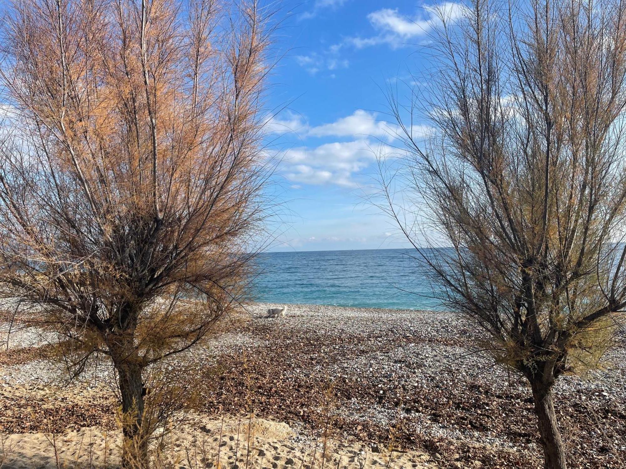 Villeneuve Loubet Plage- Entre Nice Et Cannes Exterior photo